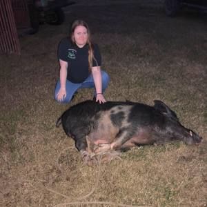 Meet your Posher, Kaylan